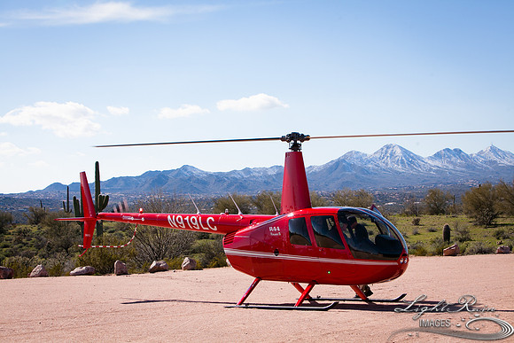 LRI-OV381_PatelSK-02232019