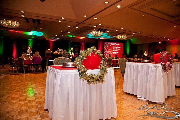 774_HolidayVenueDetails2013byLightRainImages