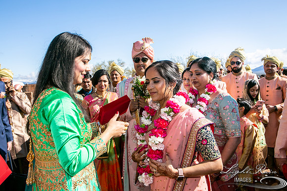 LRI-OV118_PatelSK-02232019