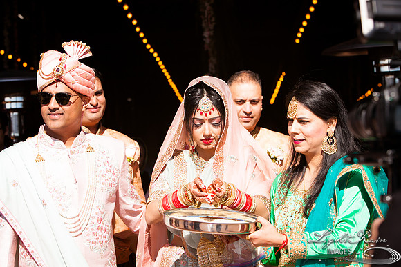 LRI-OV387_PatelSK-02232019