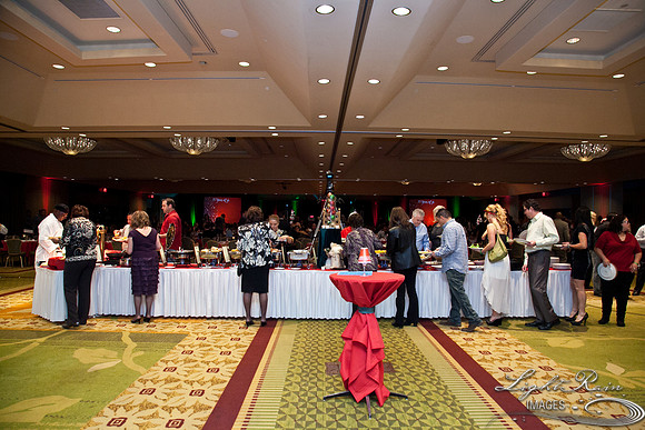 776_HolidayVenueDetails2013byLightRainImages