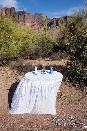 Lost Dutchman State Park Wedding-038