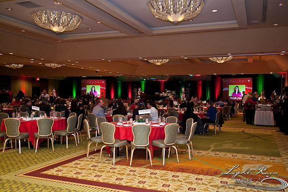 747_HolidayVenueDetails2013byLightRainImages